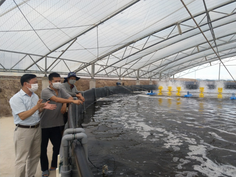 Chất lượng phát triển của thủy sản phụ thuộc vào cách chăm nuôi