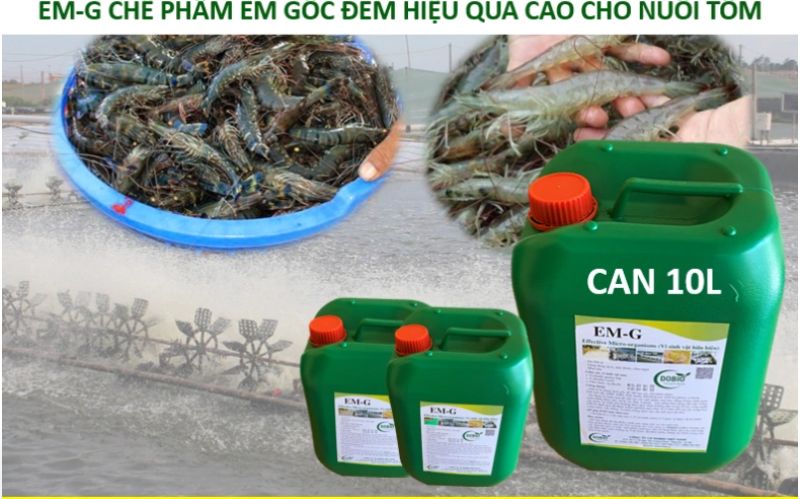 Phương pháp làm chế phẩm EM nuôi tôm