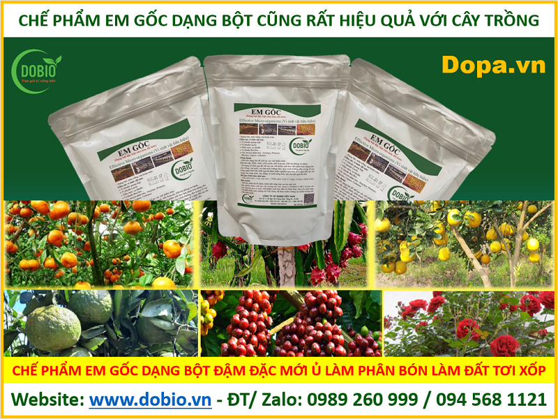 EM ủ làm phân bón giúp đất tơi xốp