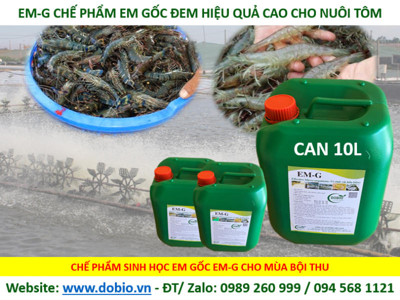Chế phẩm gốc EM giúp kích thích tăng trưởng