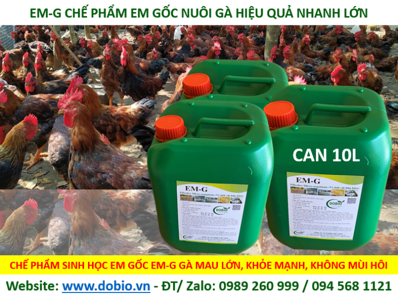 Chế phẩm thứ cấp từ EM gốc