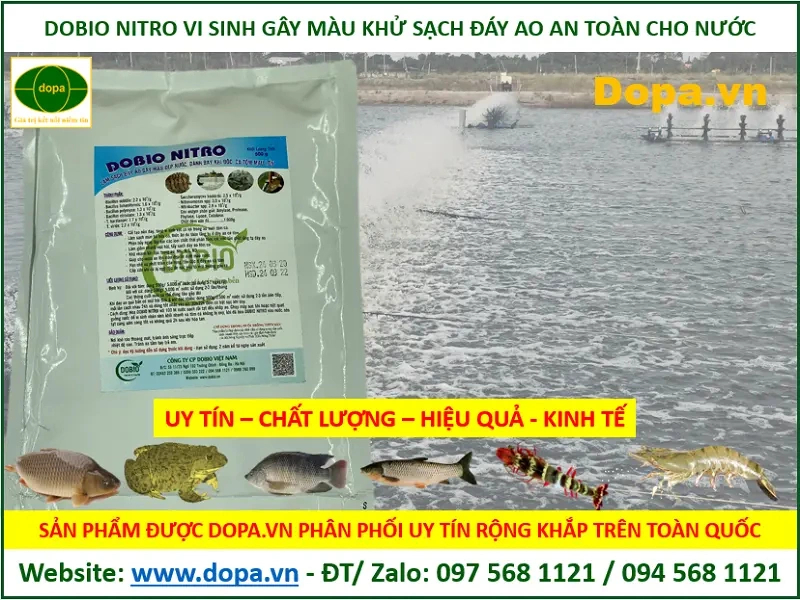 DOBIO NITRO-men vi sinh xử lý, làm sạch và gây màu cho nước ao