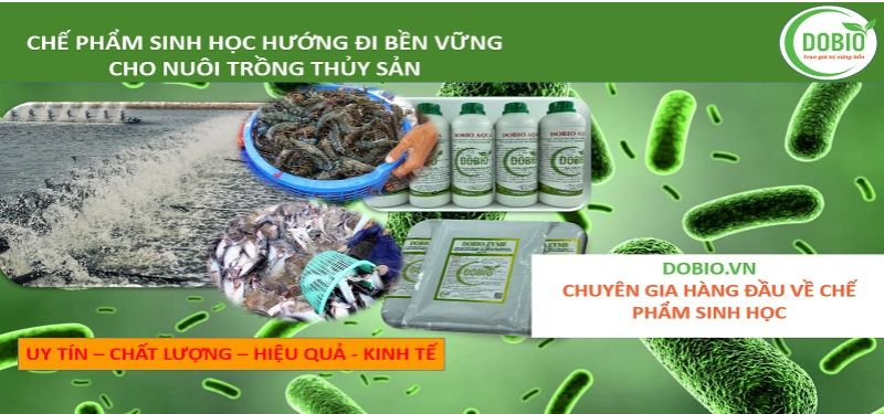 chế phẩm EM thứ cấp hiệu quả