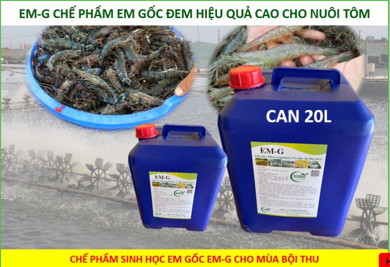 Dobio là đơn vị cung cấp EM gốc