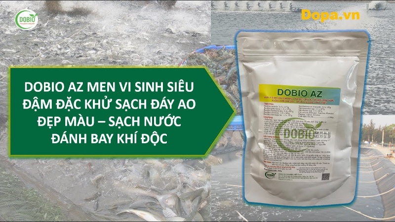 DOBIO AZ men vi sinh đậm đặc 