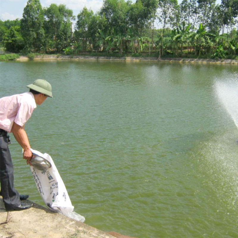 Men tiêu hóa giúp thủy sản hạn chế mắc bệnh về đường ruột