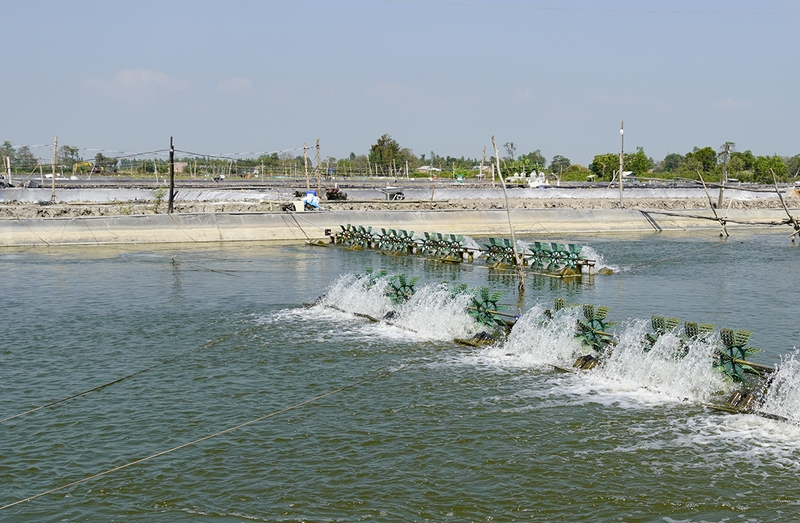 Tác dụng của việc gây màu nước