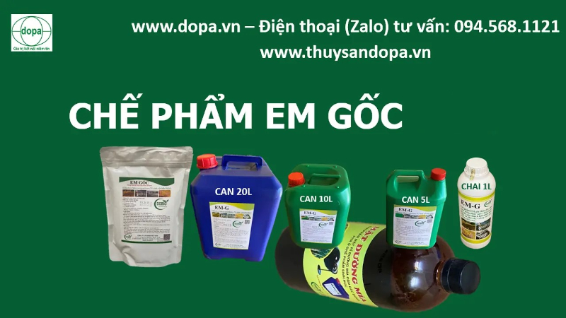 Sử dụng chế phẩm EM G GỐC DẠNG NƯỚC