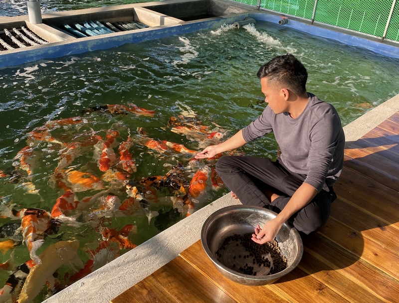 Chế phẩm EM được ứng dụng rất phổ biến trong nuôi trồng thủy sản