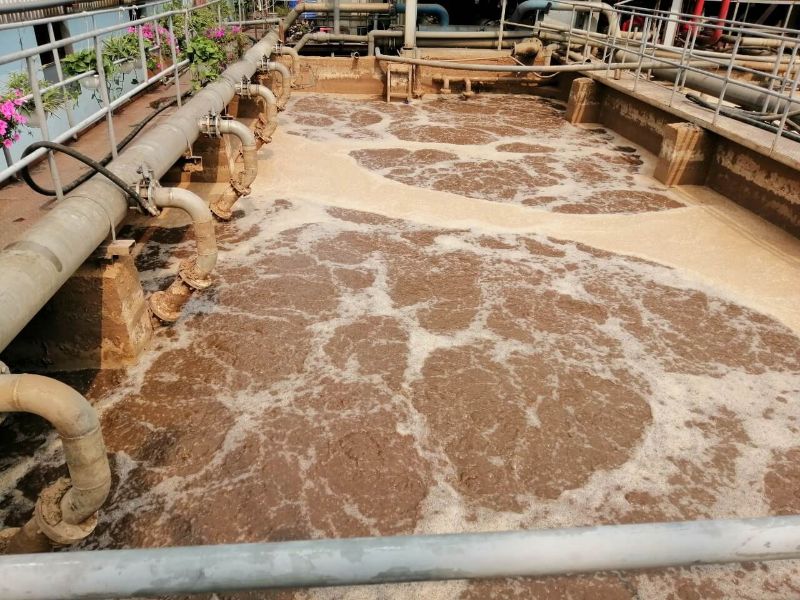 Chế phẩm vi sinh xử lý nước thải