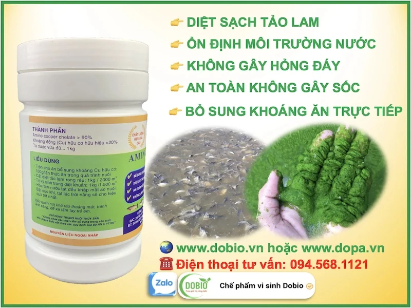 Sản phẩm Amino Cooper