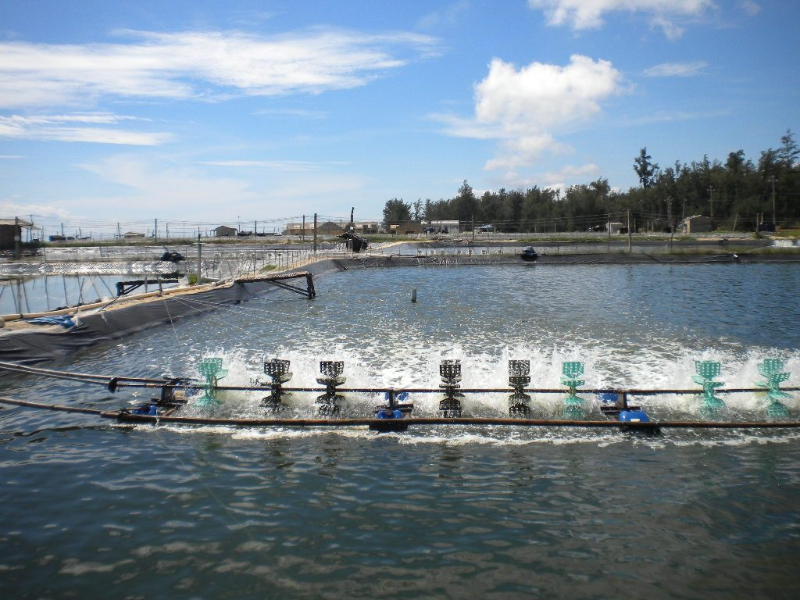 Đất nuôi trồng thủy sản