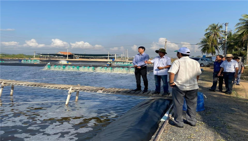 Giá bồi thường