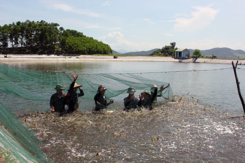 Bổ sung lượng vitamin