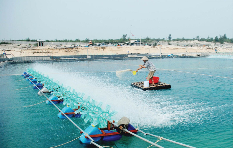 Sử dụng quạt guồng nước