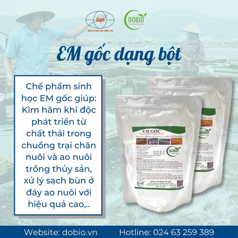 EM là công nghệ sinh học vượt bậc của ngành trồng trọt, chăn nuôi