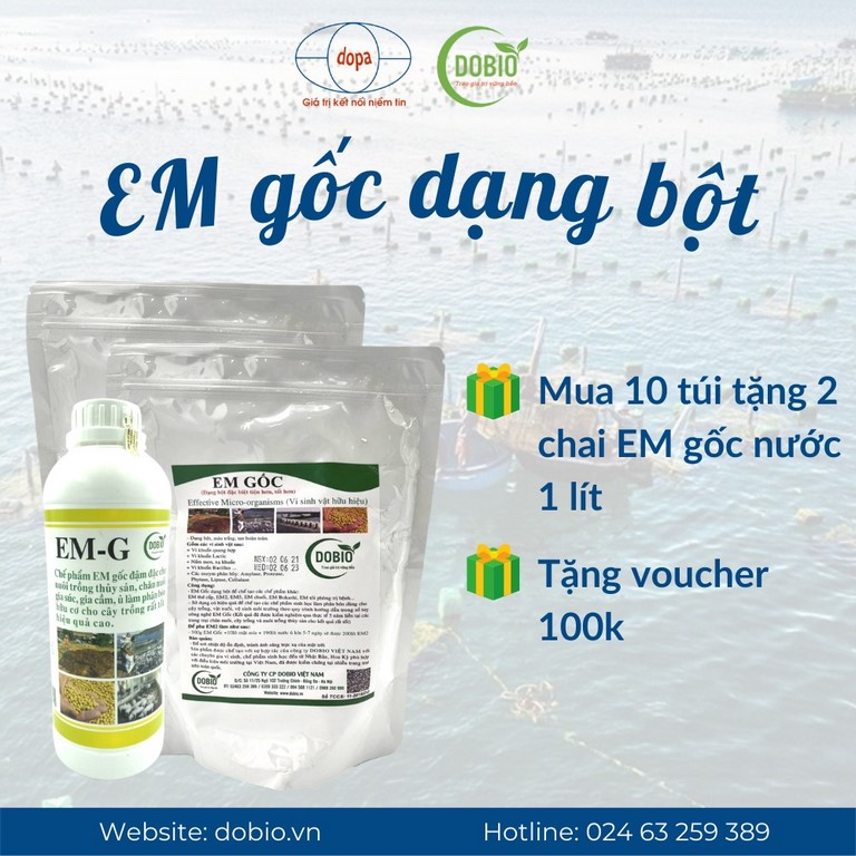 EM gốc - chế phẩm sinh học phổ biến nhất hiện nay