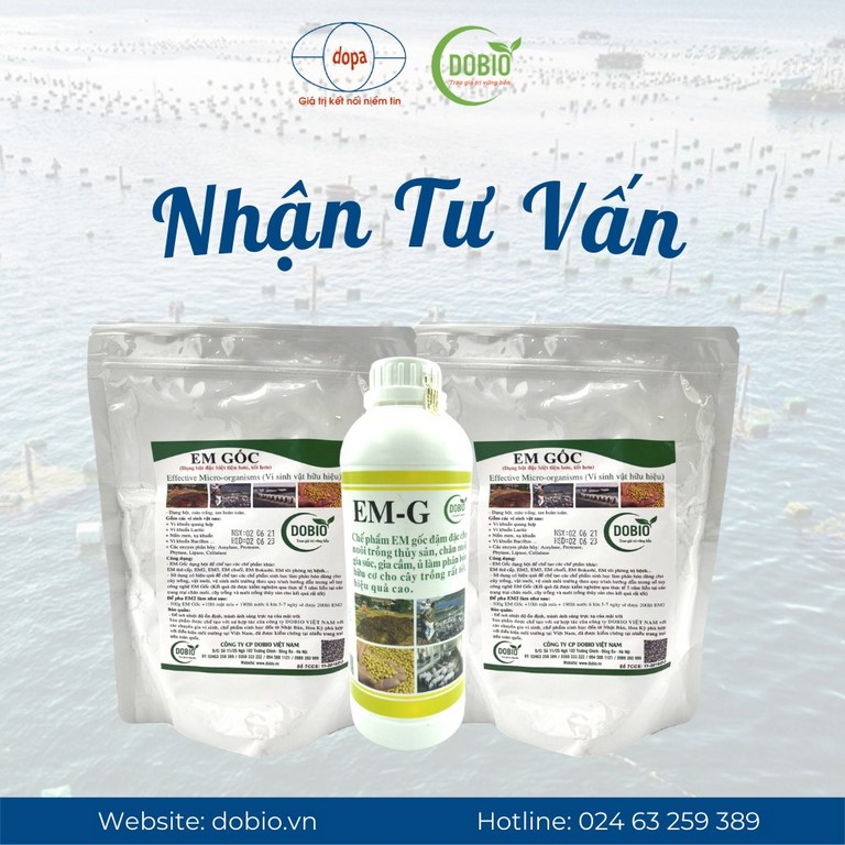 Chế phẩm em gốc là sản phẩm được nhiều bà con tin dùng