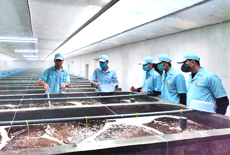 Phát triển nuôi trồng thủy sản bền vững