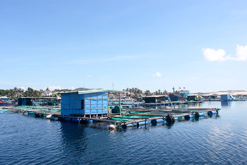 Các vùng thuộc Đồng Bằng Sông Cửu Long