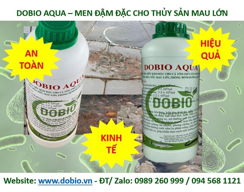 Men tiêu hóa Dobio Aqua