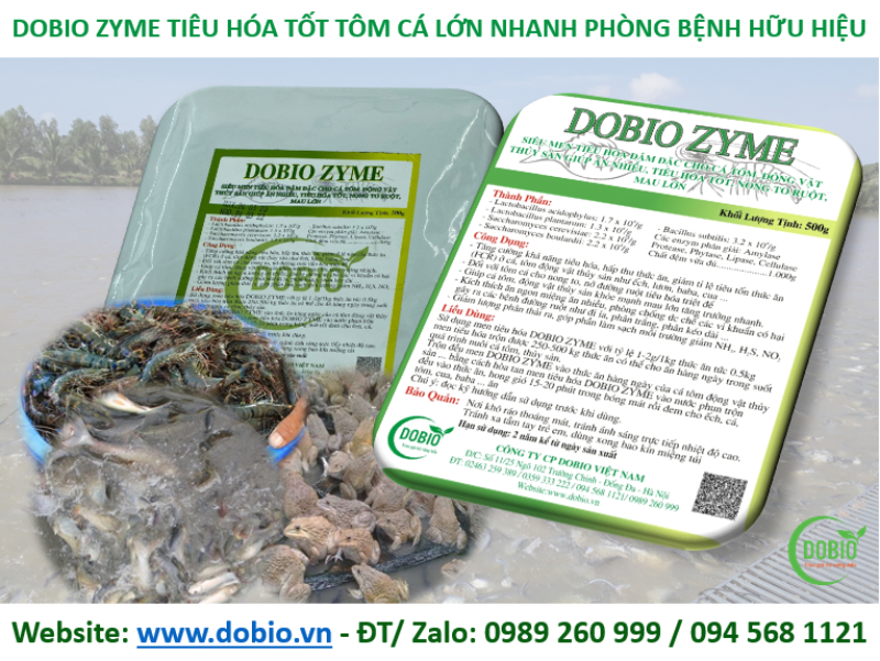 Men tiêu hóa DOBIO ZYME