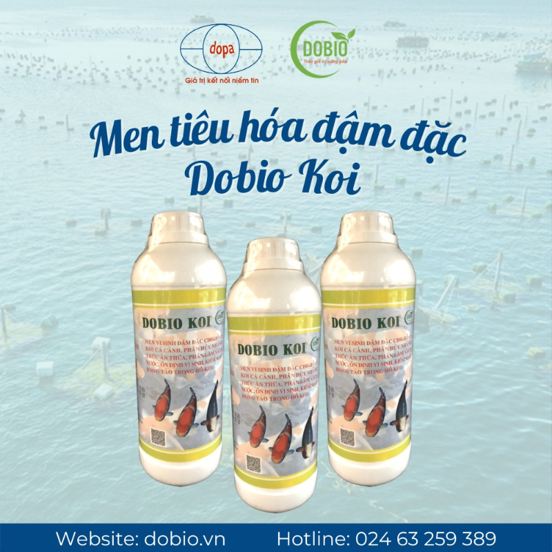Men tiêu hóa DOBIO KOI