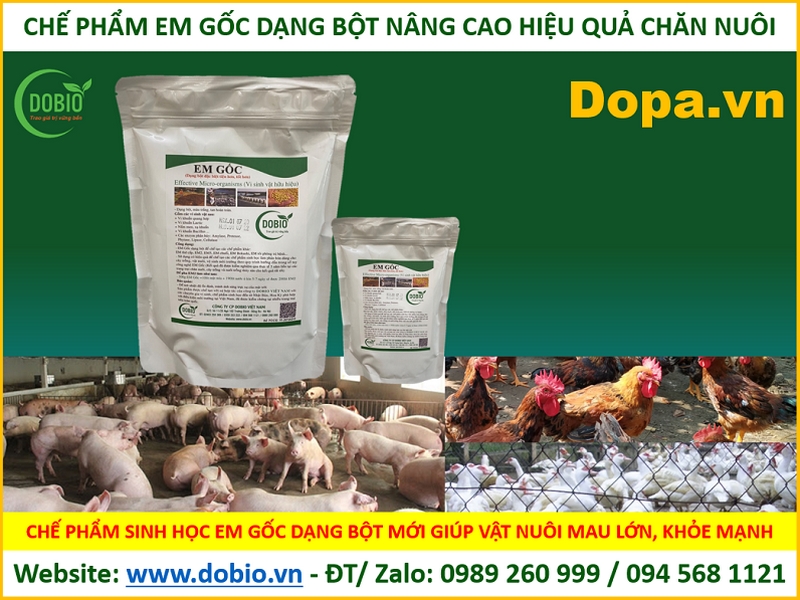 EM gốc còn được gọi là EM1