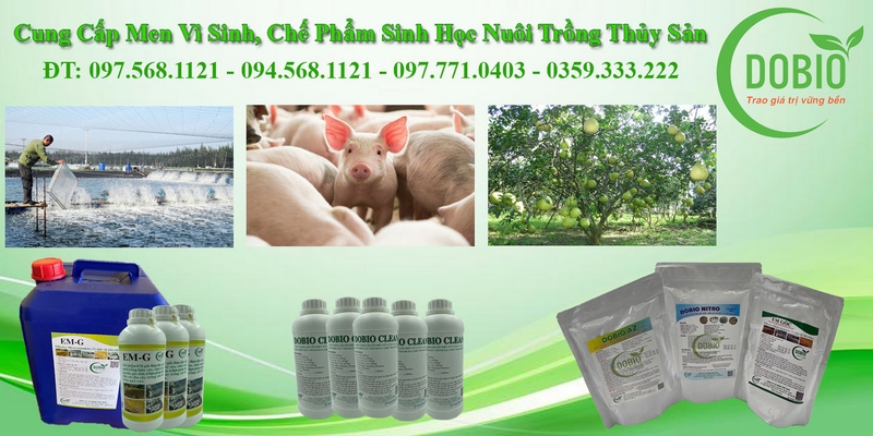 Mua chế phẩm sinh học EM ở đâu uy tín, chất lượng