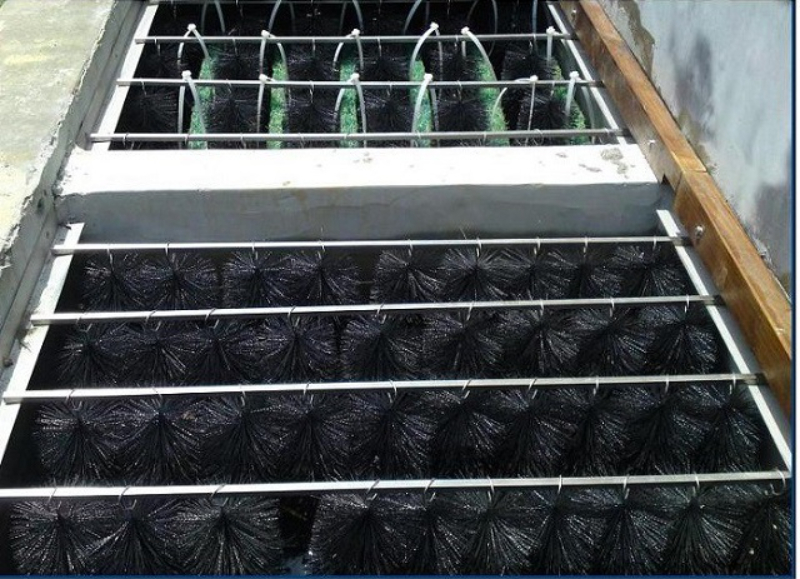 Hệ thống lọc nước cho hồ cá Koi