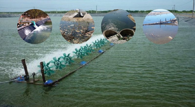 Lưu ý về quản lý chất lượng nước trong nuôi trồng thủy sản