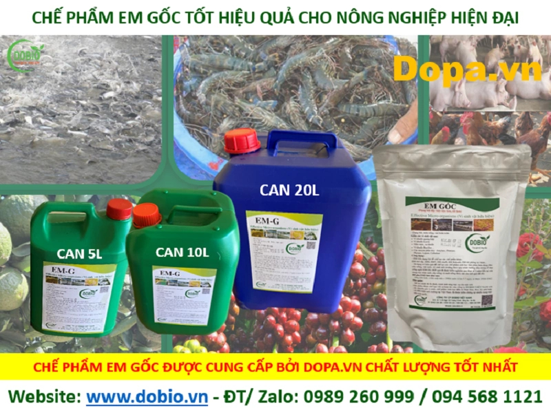 Xử lý nước bằng chế phẩm sinh học Dobio Em Gốc