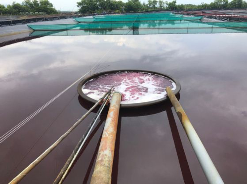 Một số lưu ý khi xử lý nước thải cần áp dụng