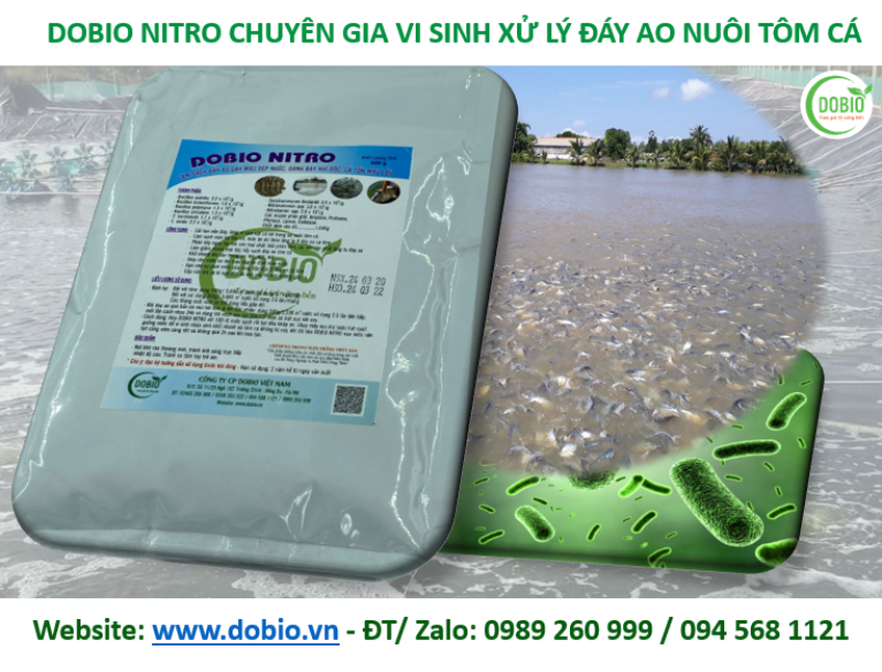 Sản phẩm Dobio Nitro chuyên gia xử lý đáy ao