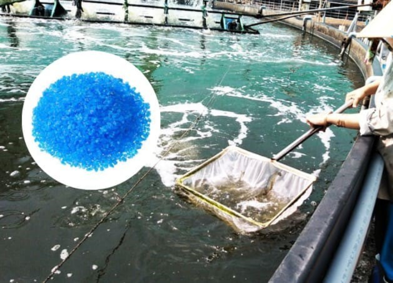 Những chú ý đặc biệt khi sử dụng đồng Sunfat