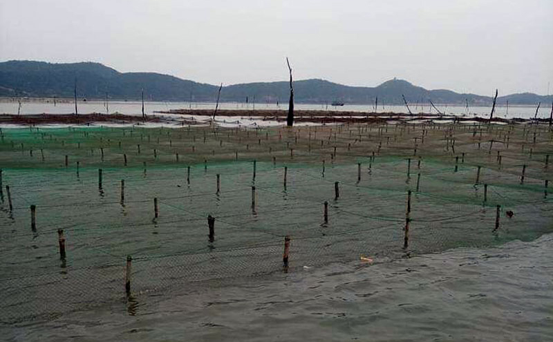 Bãi triều ven biển