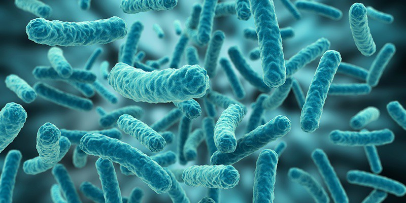 Tại sao phải sử dụng vi sinh hồ cá?