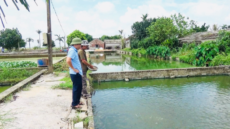 Kích thích các loại tảo có lợi sinh sôi