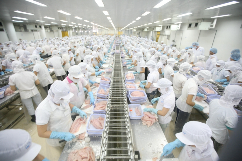 Đầu tư cơ sở vật chất cho nhà máy chế biến thủy sản
