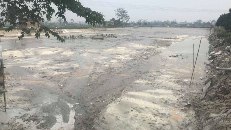 Đặc điểm của đáy ao nuôi tôm