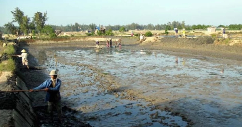 xử lý đáy ao để nuôi tôm