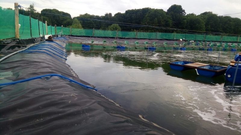 Các lưu ý khi chuẩn bị xử lý bùn