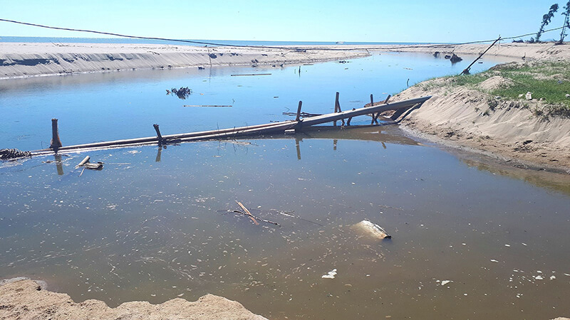 Nếu không xử lý nước thải trong nuôi trồng thủy sản sẽ gây ra nhiều nhiều ảnh hưởng