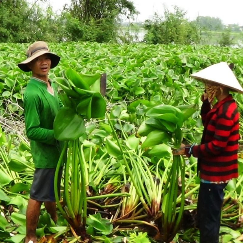 do thu cong tu luc binh 1