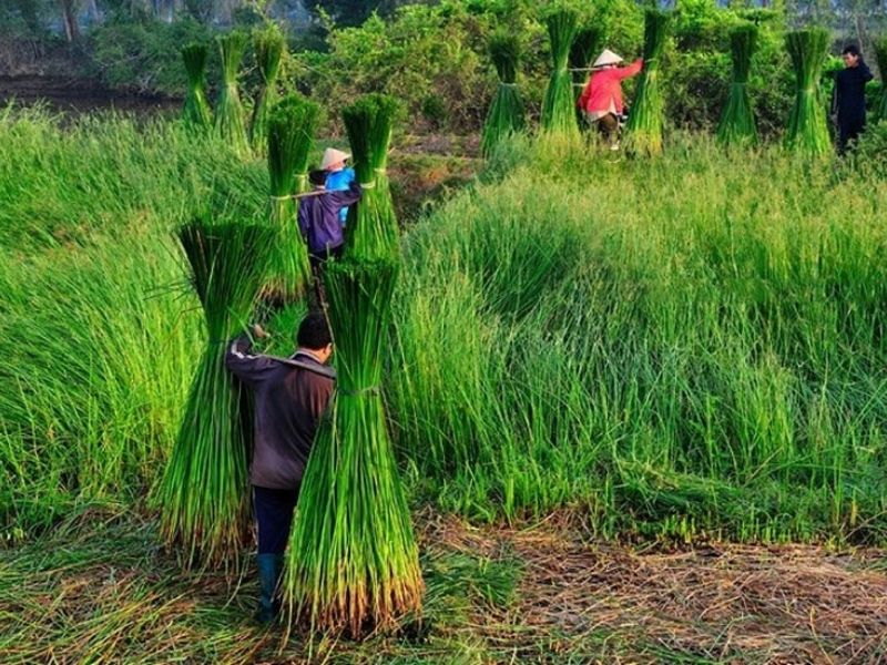 do thu cong my nghe tu coi