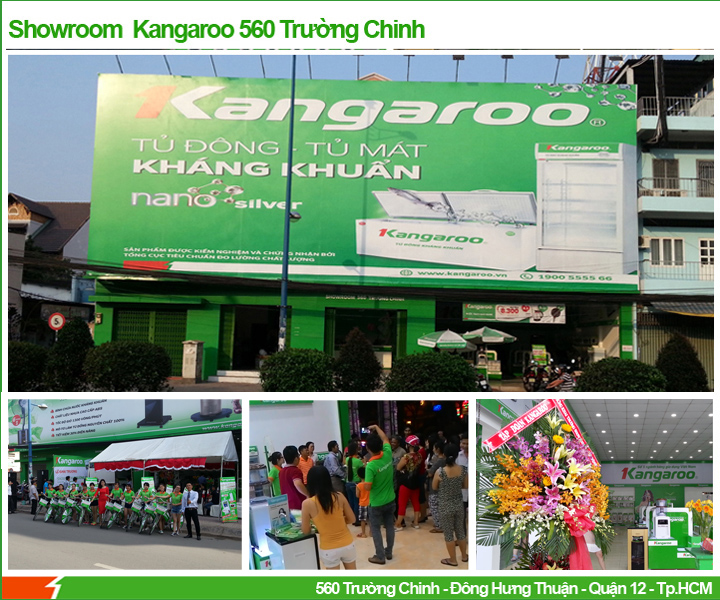 Showroom Kangaroo 560 Trường Chinh