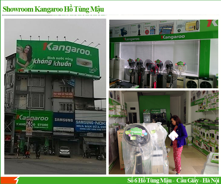 Showroom Kangaroo Hồ Tùng Mậu