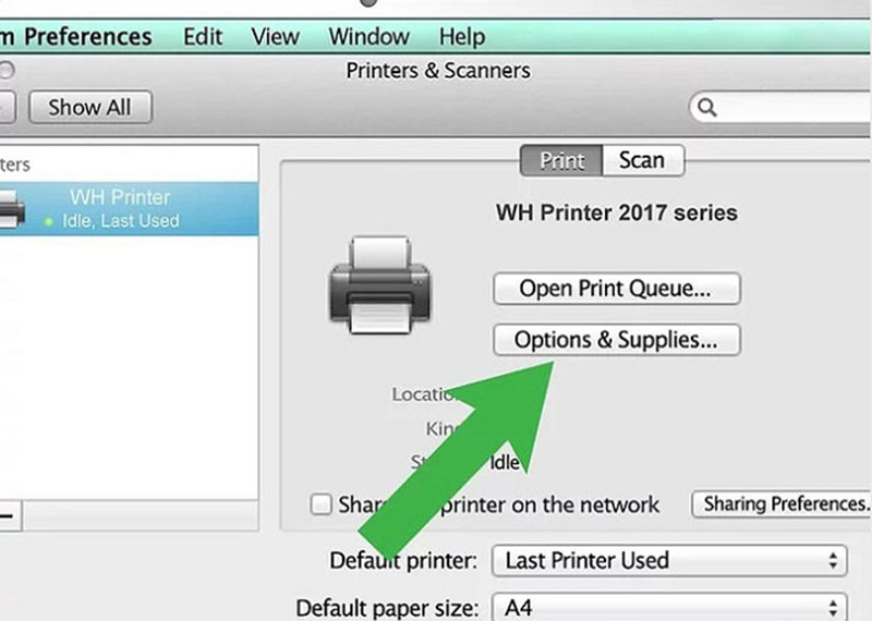 Chọn Options & Supplies