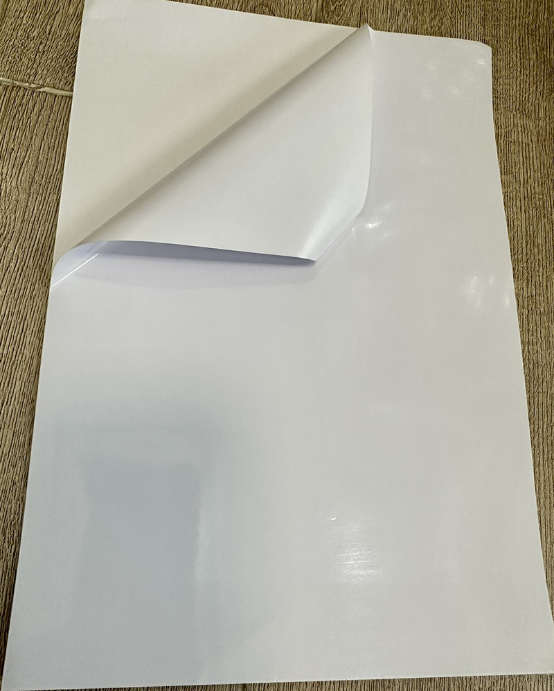 Giấy decal A4 nhựa sữa