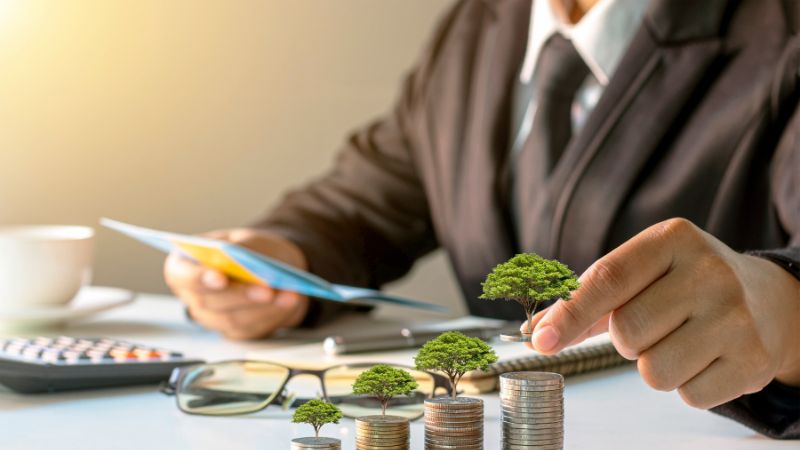 chủ đầu tư là gì